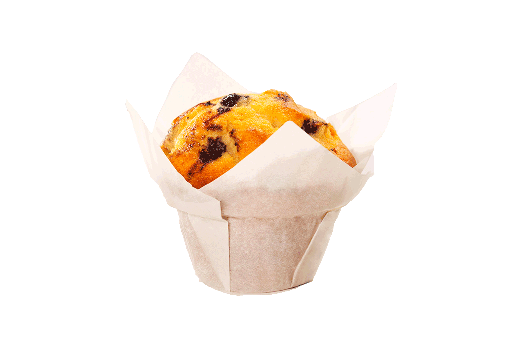 Muffin XL Blaubeere